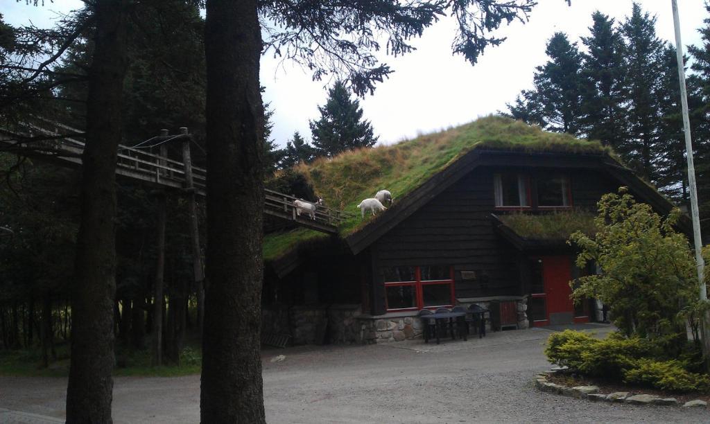 Holmavatn Ungdoms Og Misjonssenter Hotel Varhaug Exterior photo